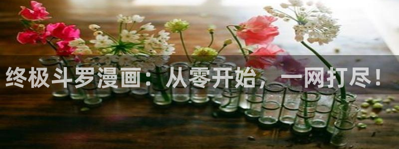酷漫屋电影在线播放：终极斗罗漫画：从零开始，一网打尽！