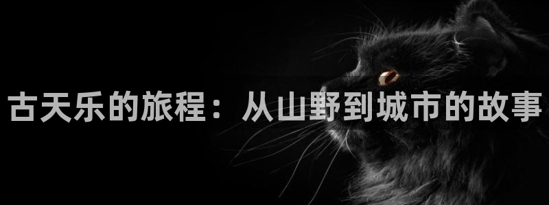 酷漫屋官网：古天乐的旅程：从山野到城市的故事