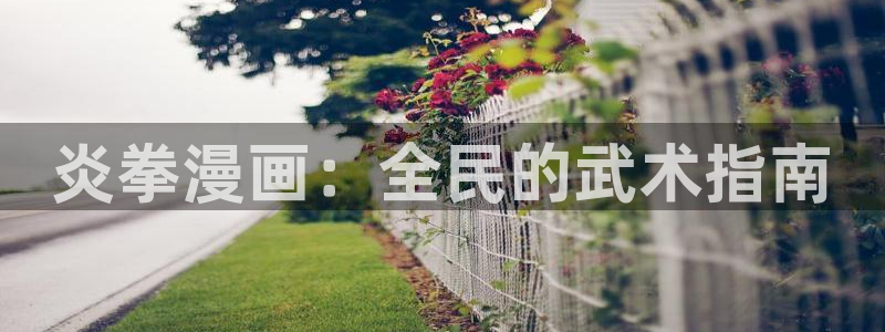 酷漫屋画官方免费漫画：炎拳漫画：全民的武术指南