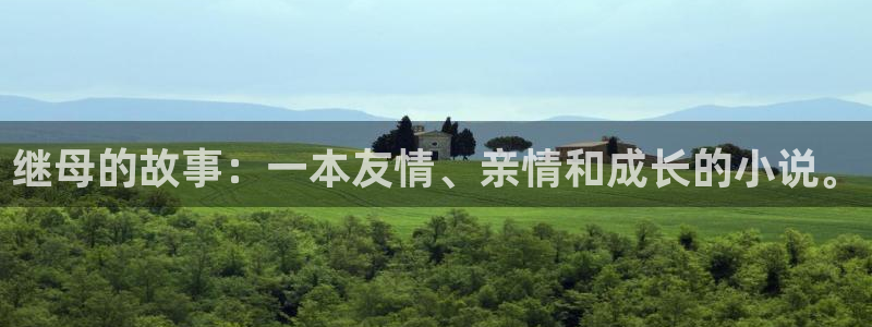 酷漫屋：继母的故事：一本友情、亲情和成长的小说。