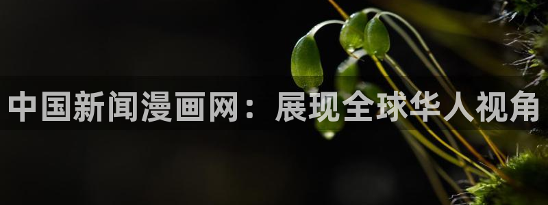 酷漫屋下拉式(免费漫画)在线观看：中国新闻漫画网：展现全球华人视角